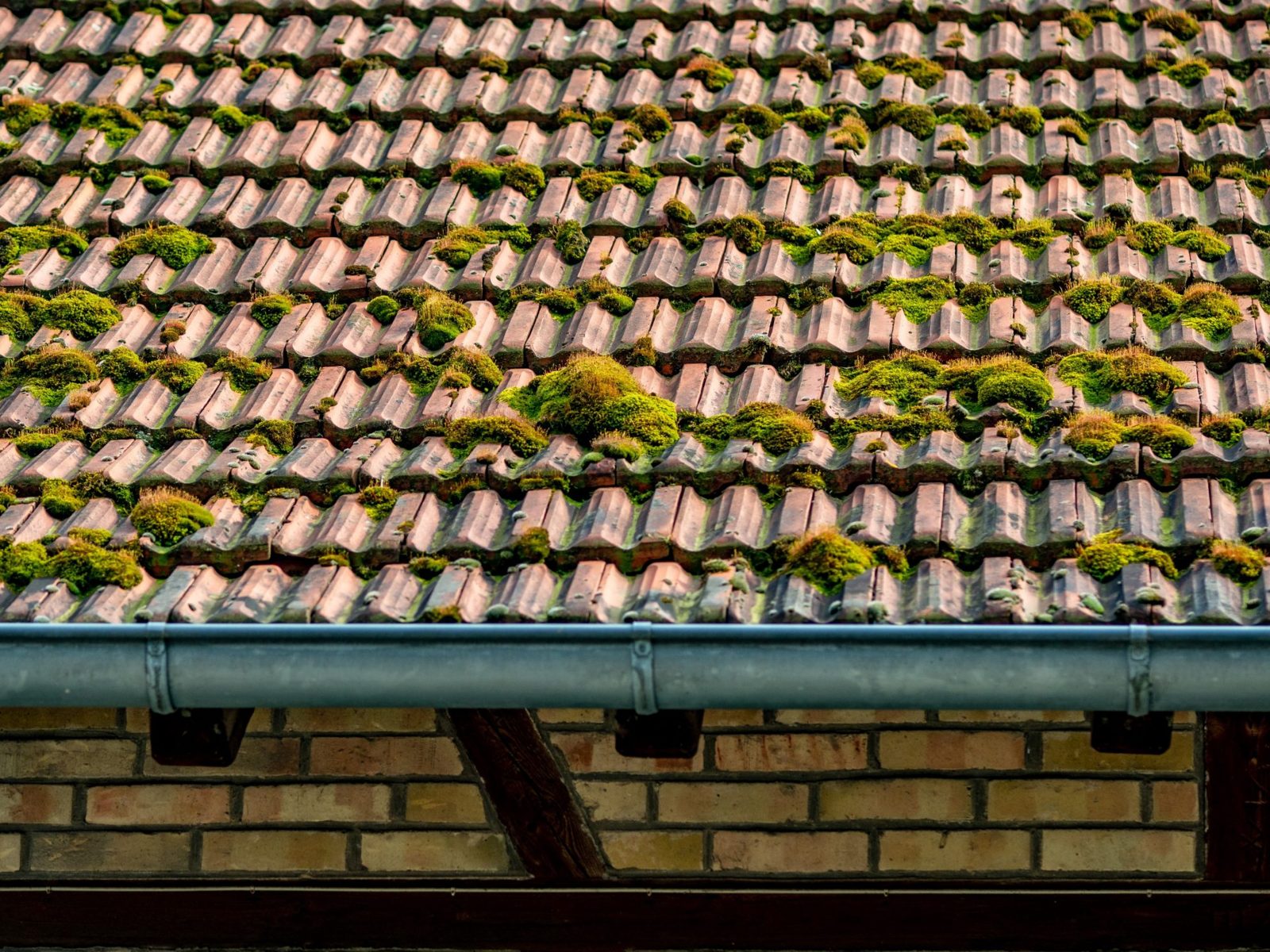 Clean roof tiles on a UK house